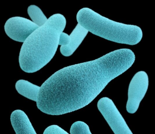 장 건강을 챙기면 면역력 UP blue and white hearts illustration