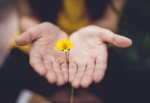 정신건강, 몸과 마음이 모두 건강해지는 첫걸음 selective focus photography of woman holding yellow petaled flowers