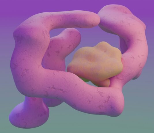 “대장앎의 달” 맞아 조기검진 강조… 대장암 예방이 최선의 치료 A close up of a pink object on a purple background