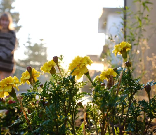 바쁜 일상 속 스트레스, 관리하는 현명한 습관이 필요하다 a woman walking down a street past a bunch of flowers